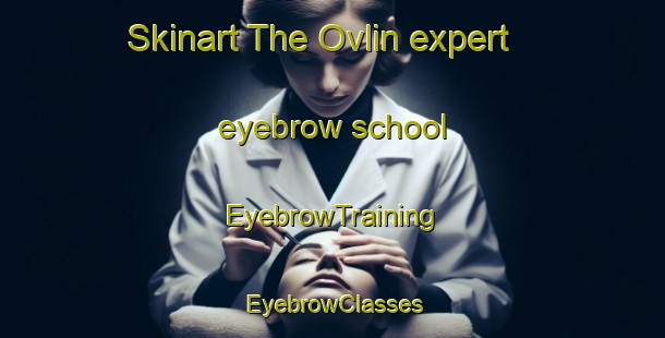 Skinart The Ovlin expert eyebrow school | EyebrowTraining | EyebrowClasses | SkinartTraining-Norway