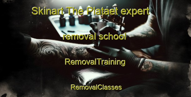 Skinart The Plataet expert removal school | RemovalTraining | RemovalClasses | SkinartTraining-Norway