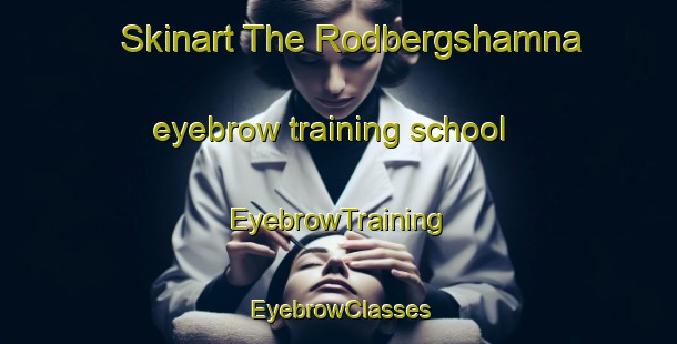 Skinart The Rodbergshamna eyebrow training school | EyebrowTraining | EyebrowClasses | SkinartTraining-Norway
