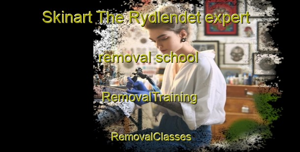 Skinart The Rydlendet expert removal school | RemovalTraining | RemovalClasses | SkinartTraining-Norway