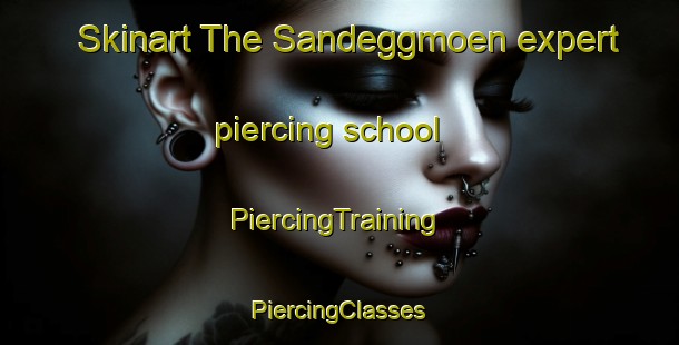 Skinart The Sandeggmoen expert piercing school | #PiercingTraining #PiercingClasses #SkinartTraining-Norway