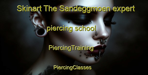 Skinart The Sandeggmoen expert piercing school | PiercingTraining | PiercingClasses | SkinartTraining-Norway