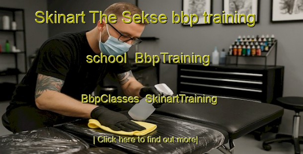 Skinart The Sekse bbp training school | BbpTraining | BbpClasses | SkinartTraining-Norway