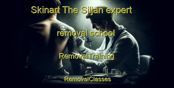 Skinart The Siljan expert removal school | RemovalTraining | RemovalClasses | SkinartTraining-Norway