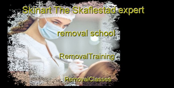 Skinart The Skaflestad expert removal school | RemovalTraining | RemovalClasses | SkinartTraining-Norway