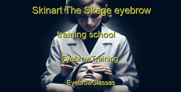 Skinart The Skage eyebrow training school | EyebrowTraining | EyebrowClasses | SkinartTraining-Norway