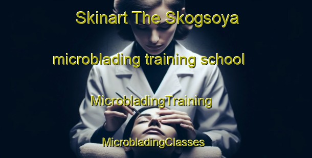 Skinart The Skogsoya microblading training school | MicrobladingTraining | MicrobladingClasses | SkinartTraining-Norway