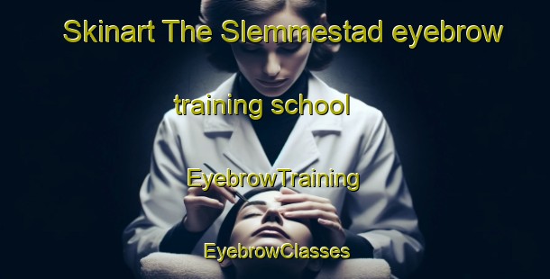 Skinart The Slemmestad eyebrow training school | EyebrowTraining | EyebrowClasses | SkinartTraining-Norway