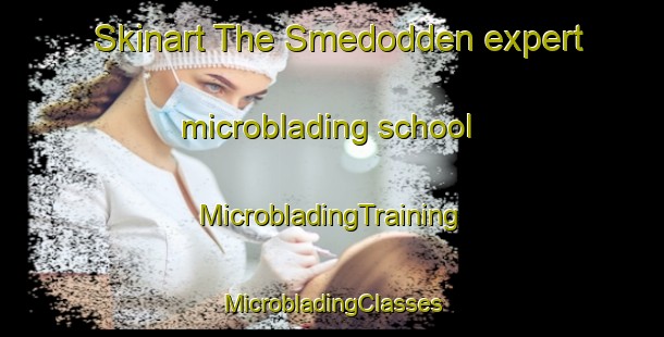 Skinart The Smedodden expert microblading school | #MicrobladingTraining #MicrobladingClasses #SkinartTraining-Norway