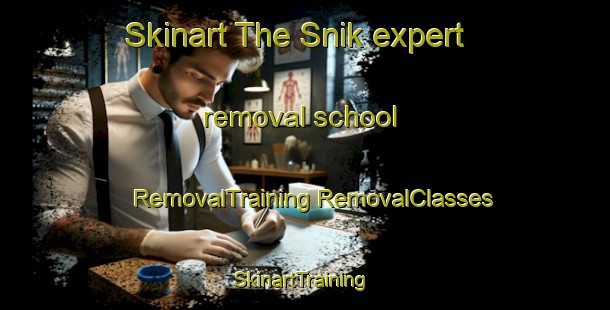 Skinart The Snik expert removal school | #RemovalTraining #RemovalClasses #SkinartTraining-Norway