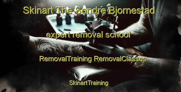 Skinart The Sondre Bjornestad expert removal school | #RemovalTraining #RemovalClasses #SkinartTraining-Norway