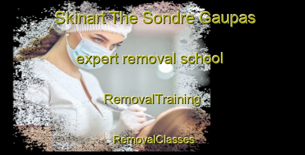 Skinart The Sondre Gaupas expert removal school | RemovalTraining | RemovalClasses | SkinartTraining-Norway