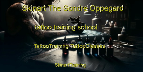 Skinart The Sondre Oppegard tattoo training school | #TattooTraining #TattooClasses #SkinartTraining-Norway