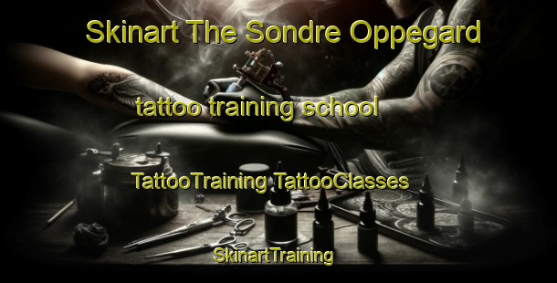 Skinart The Sondre Oppegard tattoo training school | #TattooTraining #TattooClasses #SkinartTraining-Norway