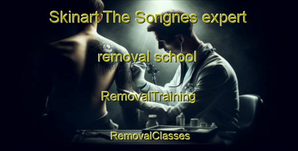 Skinart The Songnes expert removal school | RemovalTraining | RemovalClasses | SkinartTraining-Norway