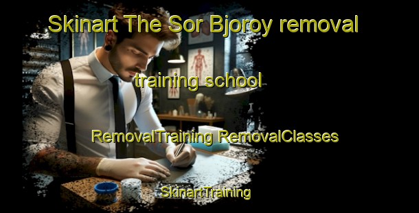 Skinart The Sor Bjoroy removal training school | #RemovalTraining #RemovalClasses #SkinartTraining-Norway