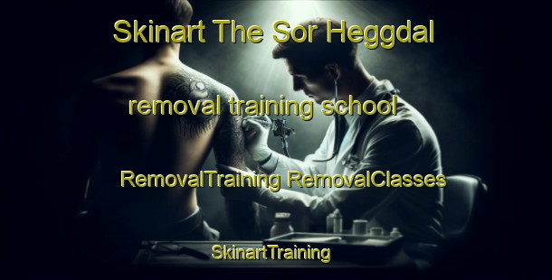 Skinart The Sor Heggdal removal training school | #RemovalTraining #RemovalClasses #SkinartTraining-Norway