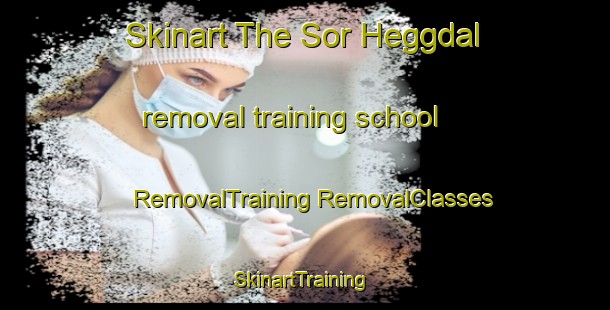 Skinart The Sor Heggdal removal training school | #RemovalTraining #RemovalClasses #SkinartTraining-Norway