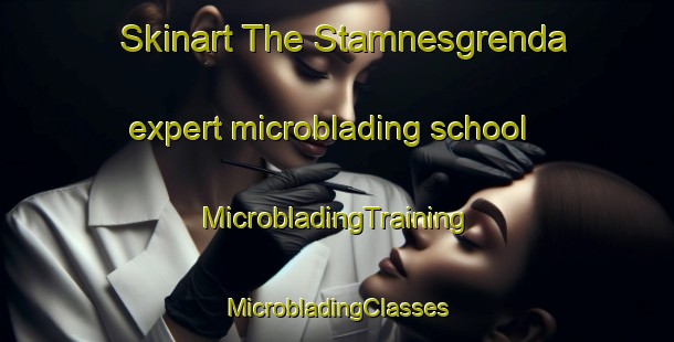 Skinart The Stamnesgrenda expert microblading school | #MicrobladingTraining #MicrobladingClasses #SkinartTraining-Norway