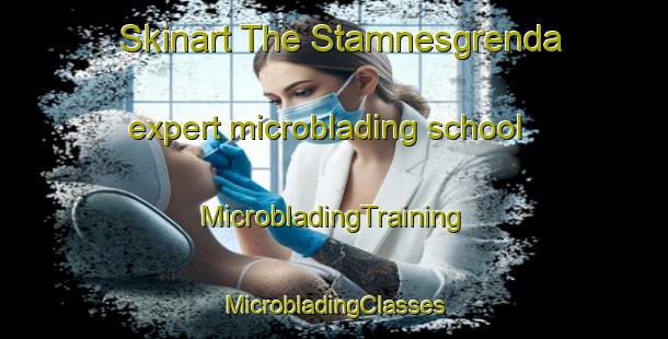 Skinart The Stamnesgrenda expert microblading school | #MicrobladingTraining #MicrobladingClasses #SkinartTraining-Norway