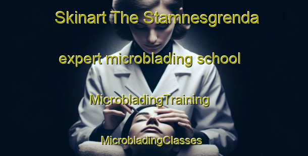 Skinart The Stamnesgrenda expert microblading school | MicrobladingTraining | MicrobladingClasses | SkinartTraining-Norway