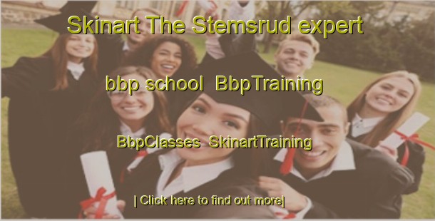 Skinart The Stemsrud expert bbp school | BbpTraining | BbpClasses | SkinartTraining-Norway