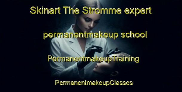 Skinart The Stromme expert permanentmakeup school | PermanentmakeupTraining | PermanentmakeupClasses | SkinartTraining-Norway