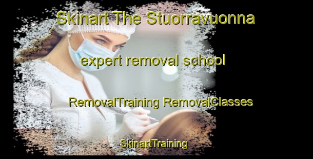 Skinart The Stuorravuonna expert removal school | #RemovalTraining #RemovalClasses #SkinartTraining-Norway