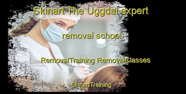 Skinart The Uggdal expert removal school | #RemovalTraining #RemovalClasses #SkinartTraining-Norway