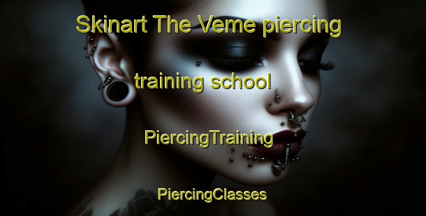 Skinart The Veme piercing training school | #PiercingTraining #PiercingClasses #SkinartTraining-Norway