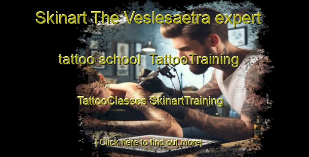 Skinart The Veslesaetra expert tattoo school | #TattooTraining #TattooClasses #SkinartTraining-Norway