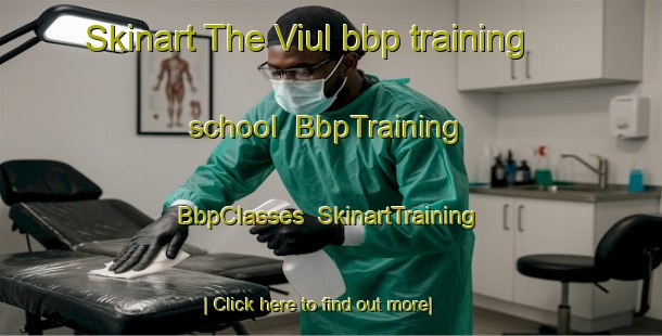Skinart The Viul bbp training school | BbpTraining | BbpClasses | SkinartTraining-Norway