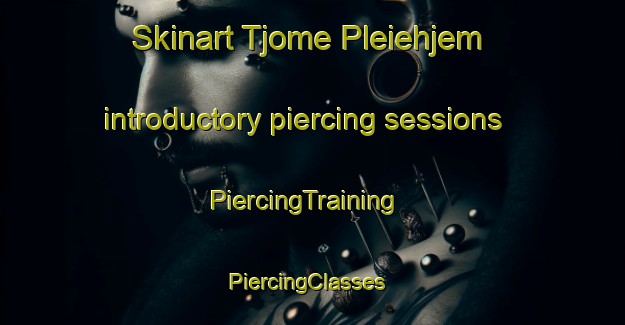 Skinart Tjome Pleiehjem introductory piercing sessions | PiercingTraining | PiercingClasses | SkinartTraining-Norway