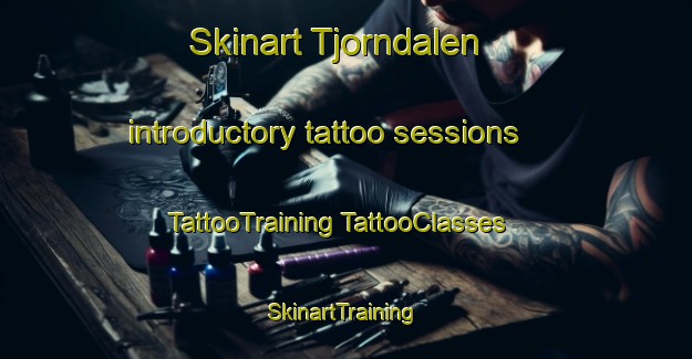 Skinart Tjorndalen introductory tattoo sessions | #TattooTraining #TattooClasses #SkinartTraining-Norway