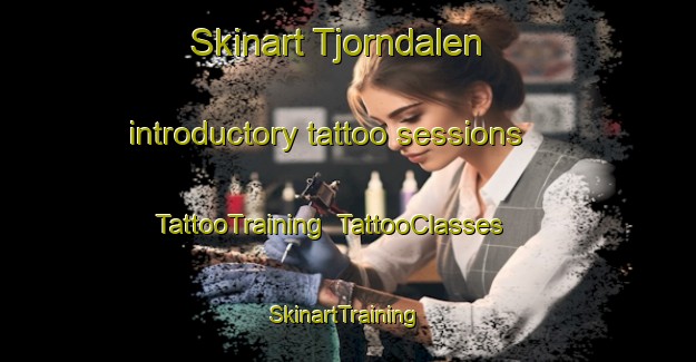 Skinart Tjorndalen introductory tattoo sessions | TattooTraining | TattooClasses | SkinartTraining-Norway
