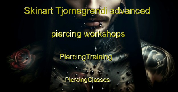 Skinart Tjornegrendi advanced piercing workshops | PiercingTraining | PiercingClasses | SkinartTraining-Norway