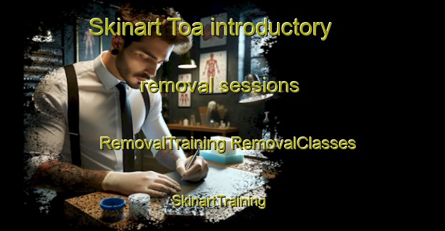 Skinart Toa introductory removal sessions | #RemovalTraining #RemovalClasses #SkinartTraining-Norway