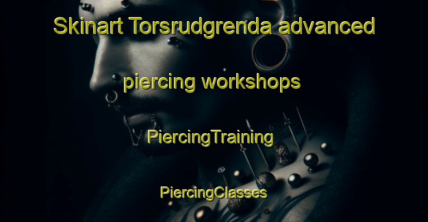 Skinart Torsrudgrenda advanced piercing workshops | #PiercingTraining #PiercingClasses #SkinartTraining-Norway