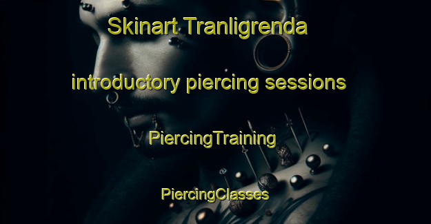 Skinart Tranligrenda introductory piercing sessions | #PiercingTraining #PiercingClasses #SkinartTraining-Norway