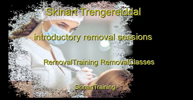 Skinart Trengereiddal introductory removal sessions | #RemovalTraining #RemovalClasses #SkinartTraining-Norway