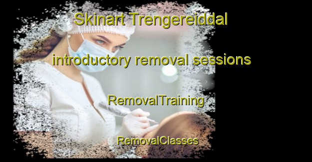 Skinart Trengereiddal introductory removal sessions | RemovalTraining | RemovalClasses | SkinartTraining-Norway