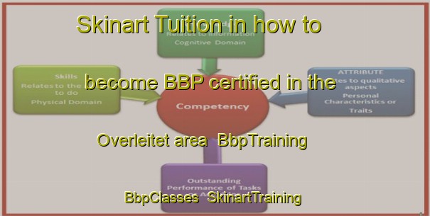 Skinart Tuition in how to become BBP certified in the Overleitet area | BbpTraining | BbpClasses | SkinartTraining-Norway