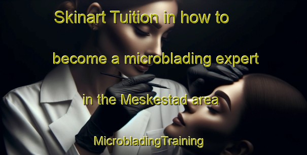 Skinart Tuition in how to become a microblading expert in the Meskestad area | MicrobladingTraining | MicrobladingClasses | SkinartTraining-Norway