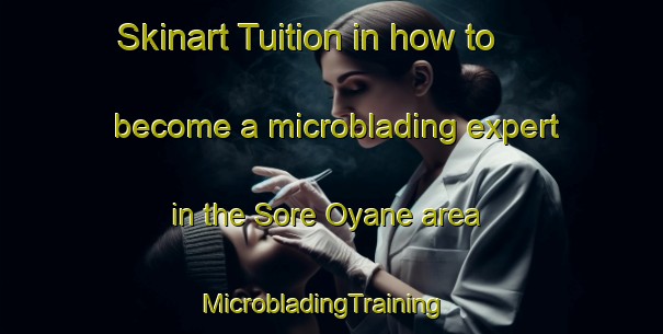 Skinart Tuition in how to become a microblading expert in the Sore Oyane area | MicrobladingTraining | MicrobladingClasses | SkinartTraining-Norway