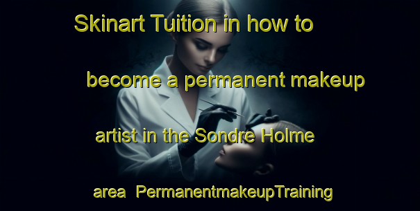 Skinart Tuition in how to become a permanent makeup artist in the Sondre Holme area | PermanentmakeupTraining | PermanentmakeupClasses | SkinartTraining-Norway