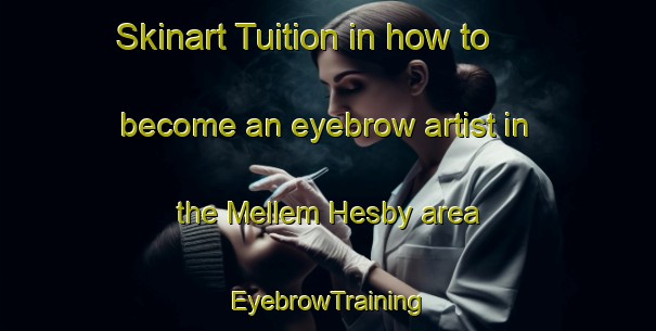 Skinart Tuition in how to become an eyebrow artist in the Mellem Hesby area | EyebrowTraining | EyebrowClasses | SkinartTraining-Norway