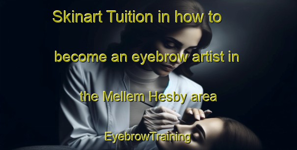 Skinart Tuition in how to become an eyebrow artist in the Mellem Hesby area | EyebrowTraining | EyebrowClasses | SkinartTraining-Norway
