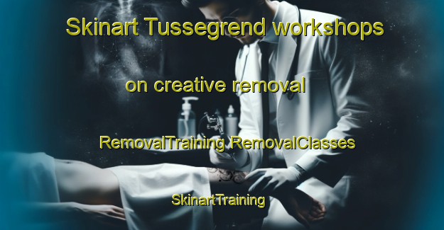 Skinart Tussegrend workshops on creative removal | #RemovalTraining #RemovalClasses #SkinartTraining-Norway