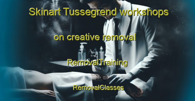 Skinart Tussegrend workshops on creative removal | RemovalTraining | RemovalClasses | SkinartTraining-Norway