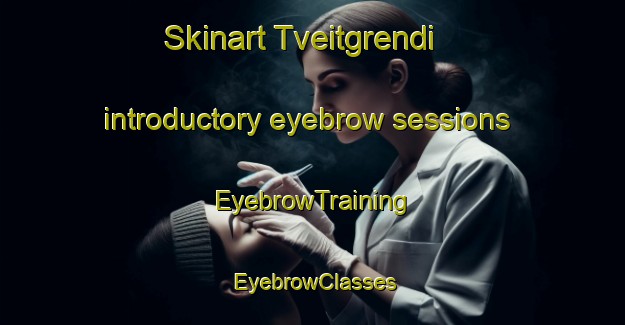Skinart Tveitgrendi introductory eyebrow sessions | EyebrowTraining | EyebrowClasses | SkinartTraining-Norway
